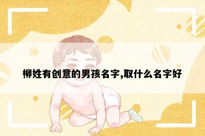 柳姓有创意的男孩名字,取什么名字好