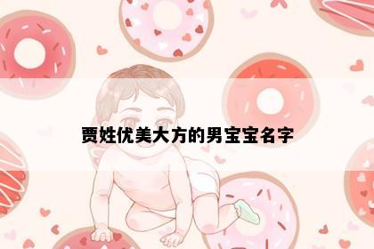 贾姓优美大方的男宝宝名字